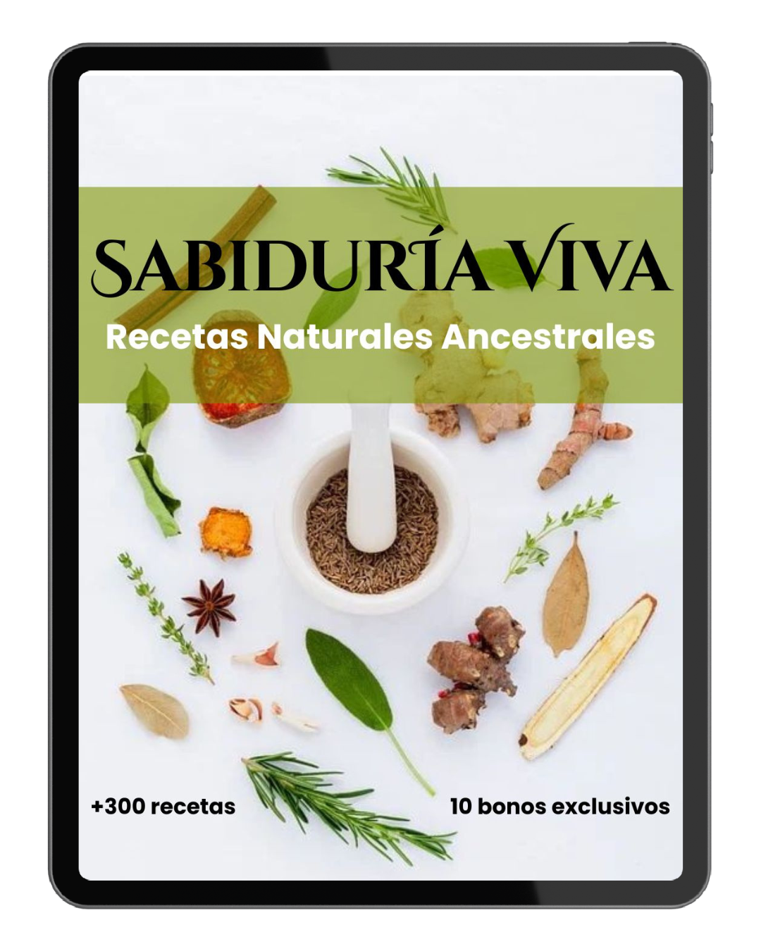 Sabiduría Viva - Recetas Naturales
